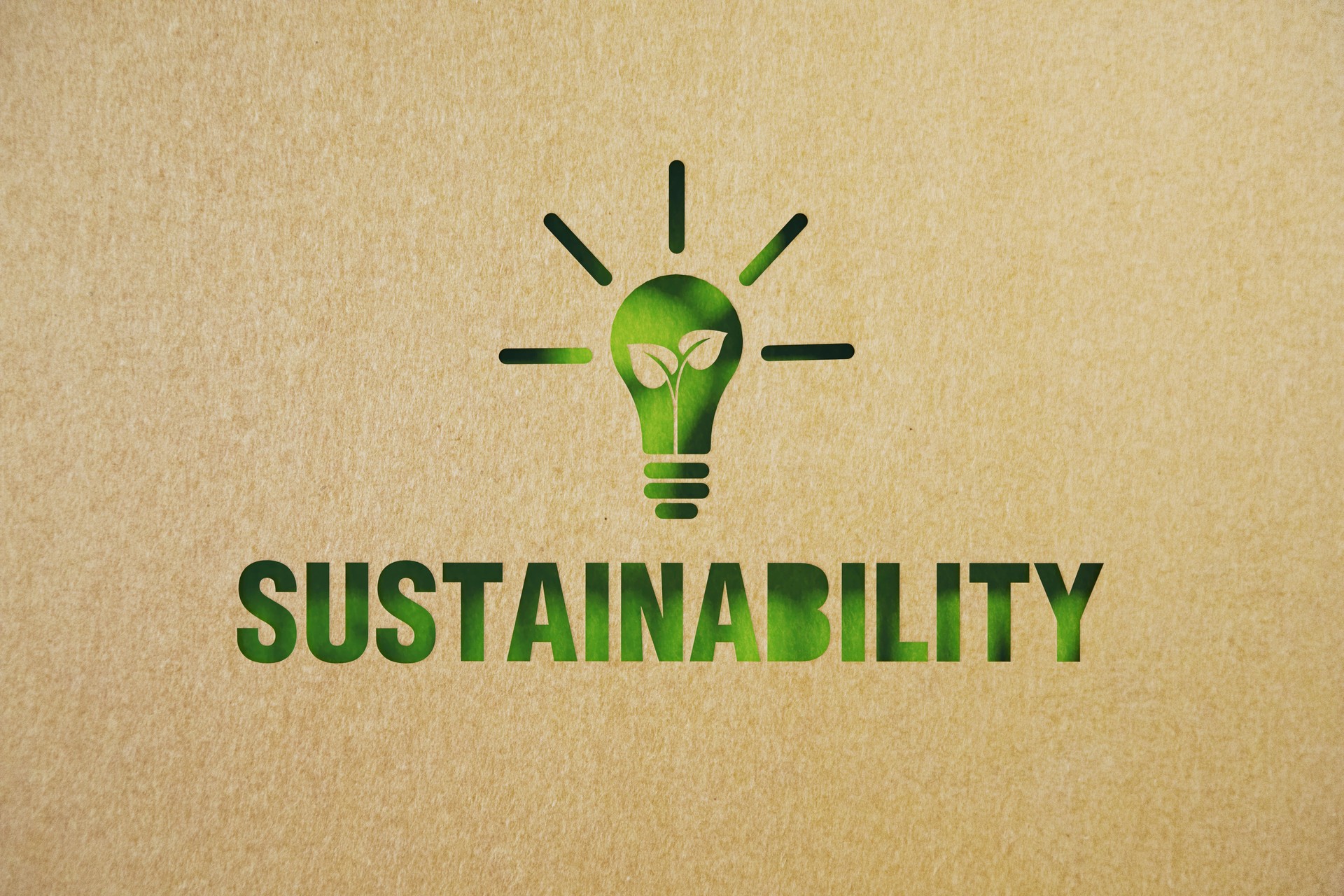Sustainability Concept - Cut Out Light Bulb Made of Recycled Paper On Green Background